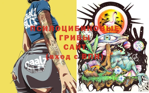 ALPHA PVP Покровск