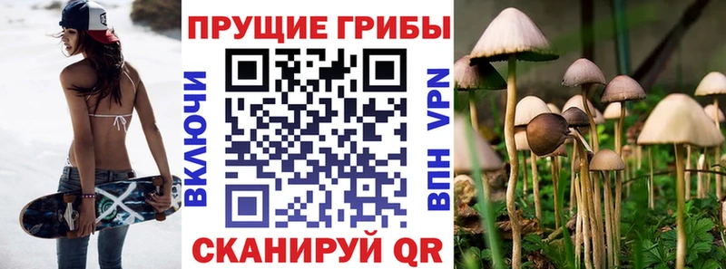 Псилоцибиновые грибы ЛСД  blacksprut вход  Оленегорск 