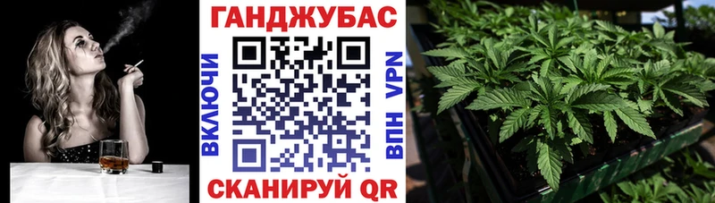 купить наркоту  Оленегорск  Каннабис сатива 